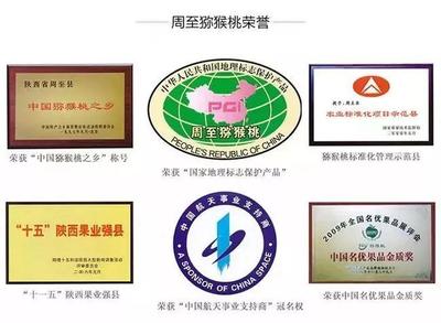 周至獼猴桃盼銷路 萬千兒女的呼喚，您的援手見真情